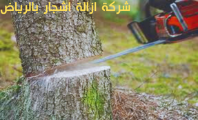 شركة ازالة اشجار بالرياض 